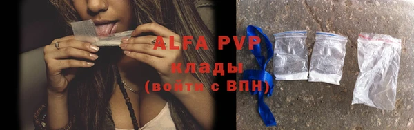 Альфа ПВП Белокуриха